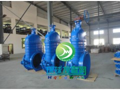 ��ī�T�F�l�y