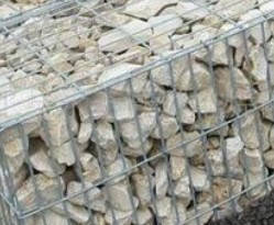 �������ξW