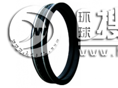 GJQ(X)-SF �p���w���������z���^