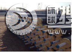 ��ţppr��ˮ���ع�