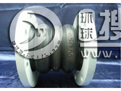 �p���w���������z���^