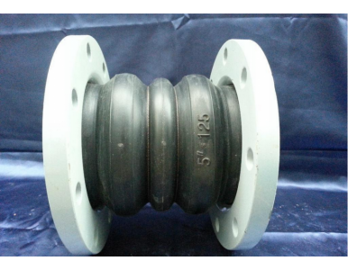 �p���w���������z���^