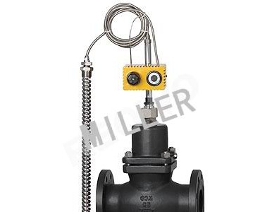 �M������ʽ�ض��{���y