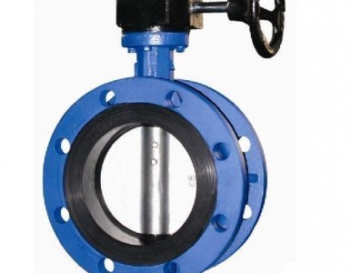 ���y�T��_���y�T���ӹ�