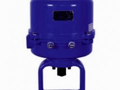 381RSD-600���ʽ���г̈�(zh��)�ЙC��(g��u)