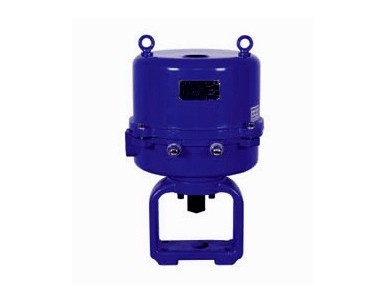 381RSD-600���ʽ���г̈�(zh��)�ЙC(j��)��(g��u)