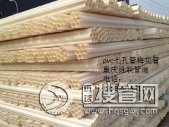 �ؑcpvc�߿׹�÷�������a(ch��n)�S��