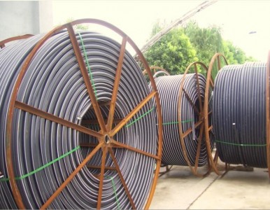 ��ɫ��ȼ��о�܏S�ҹ���(y��ng)