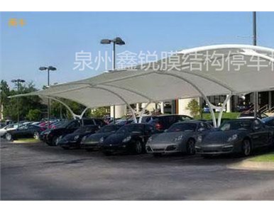 Ȫ��ͣ܇��S��|Ȫ�ݟ��Nͣ܇��|Ȫ�ݹ���ͣ܇��|���J��