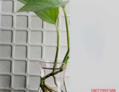 ���ݸ���Ĥ_�����{��Ĥ_���ݱ���Ĥ_���N��