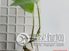 �mϪ����Ĥ_�mϪ�{��Ĥ_�mϪ����Ĥ_���N��