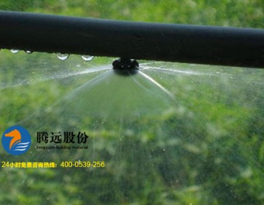 �v�h(yu��n)�ɷݡ����@�־G��PE��ȹ�