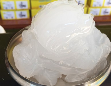 ��֬�͸� ���z����֬