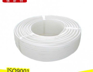 ppr���cpert���B��