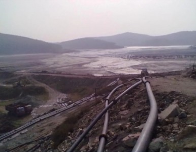 377�߷���������ϩ��