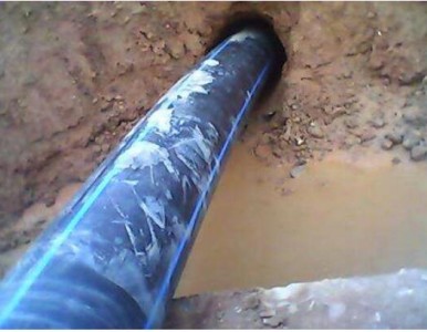 PE���_�ڹ���������