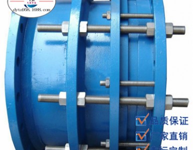 �������^ VSSJAFC�� �p���m �ɲ�ʽ�������^ �ǘ�(bi��o)����