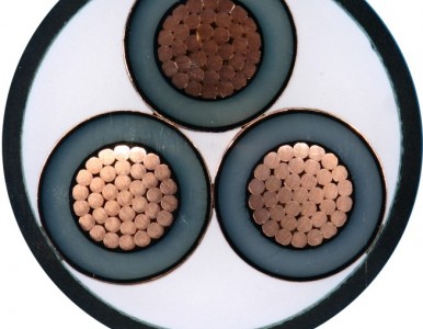 ��(n��i)�ɹŶ�����˹�h(yu��n)�|��|��������|���͟��o�u��|��������˹��|