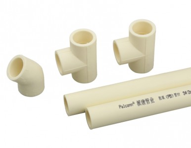 �ɿ��ܘI PB�� ���Ҙ˜� ���̓r��