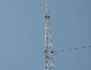 �ꖱ������S��