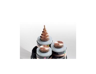 ���ϰ���h(yu��n)�|��|��������|���͟��o�u��|������|�������|