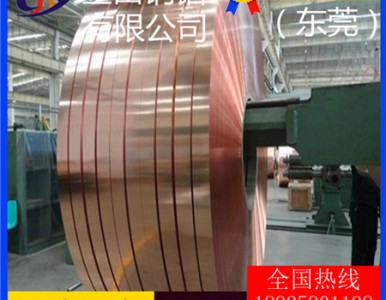 c1100���~����t5�M�ڒ������~��/t3���������~��