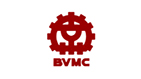 ����BVMC